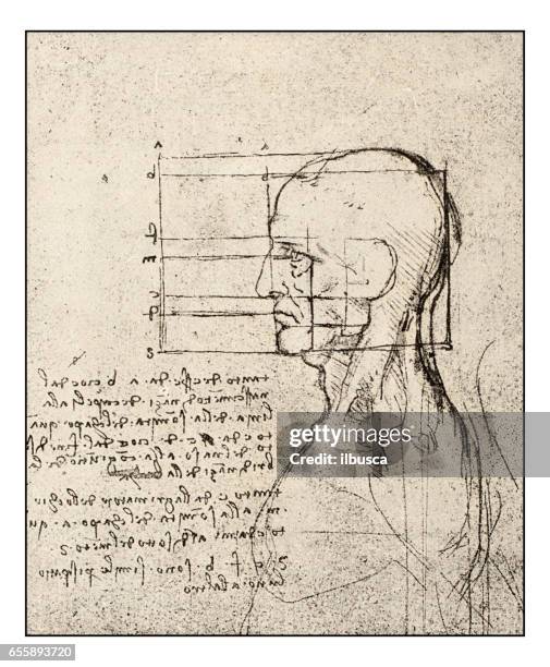 illustrations, cliparts, dessins animés et icônes de croquis et des dessins de léonard de vinci : esquisse de tête homme - léonard de vinci