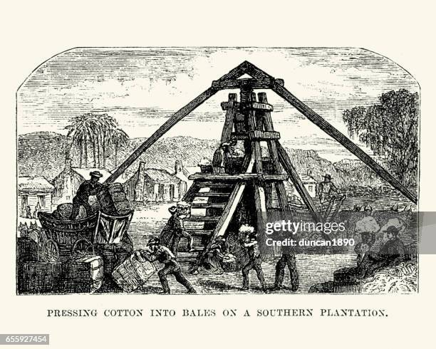 men pressing cotton into bales on a southern plantation - cotton mill stock illustrations