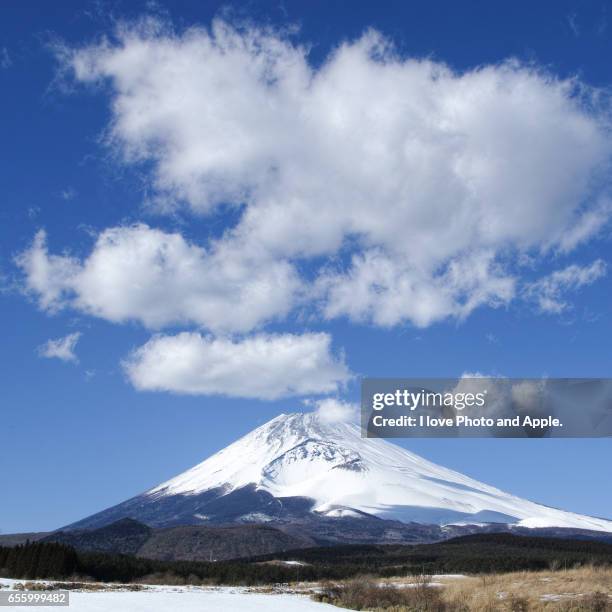 winter fuji - 静岡県 stockfoto's en -beelden