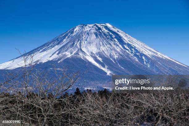 fuji view from asagiri plateau - 静岡県 stockfoto's en -beelden