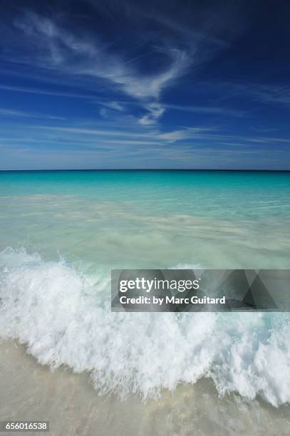 pink sands beach, harbour island, bahamas - ilha harbor - fotografias e filmes do acervo
