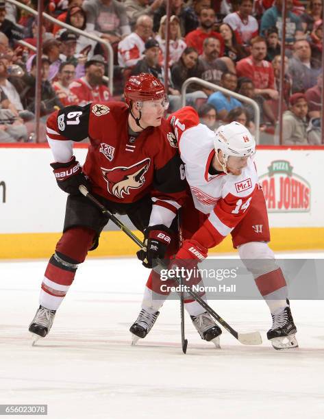 Lawson Crouse of the Arizona Coyotes battles for position during a face off with Gustav Nyquist of the Detroit Red Wings at Gila River Arena on March...