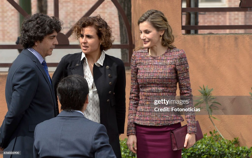 Queen Letizia Of Spain Arrives at Headquarters Of The Real Board Of Disability