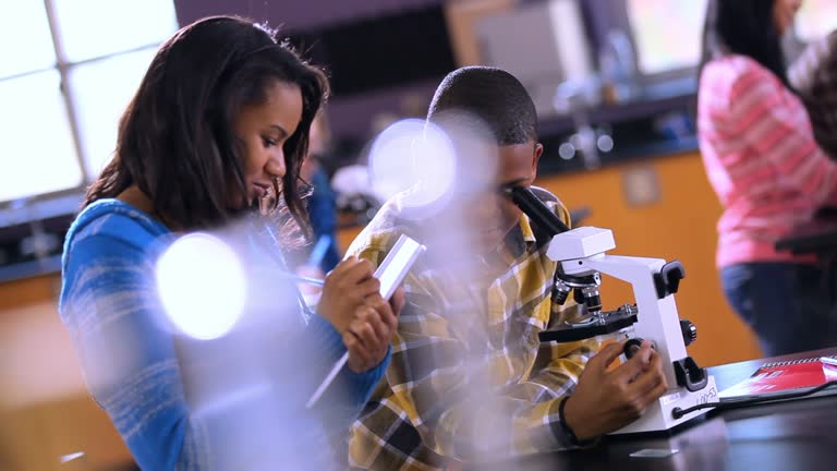 Observation Using Microscope 4,055 Microscope Students Stock Videos, Footage, & 4K Video Clips ...