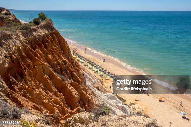 beach praia da falesia, vilamoura, algarve, portugal - vilamoura stock pictures, royalty-free photos & images