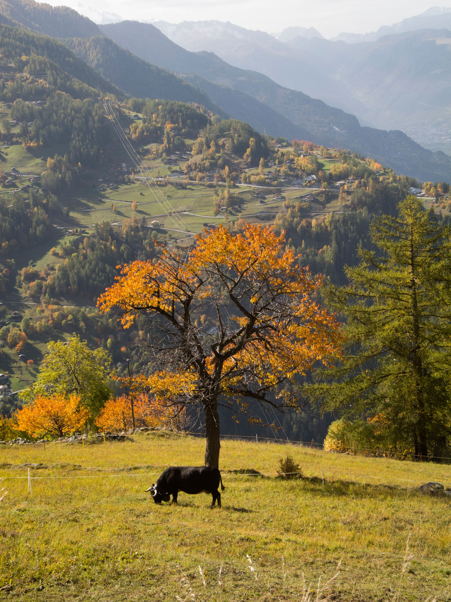 paysage valais