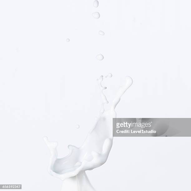 splashing of the milk - milk pour white background bildbanksfoton och bilder