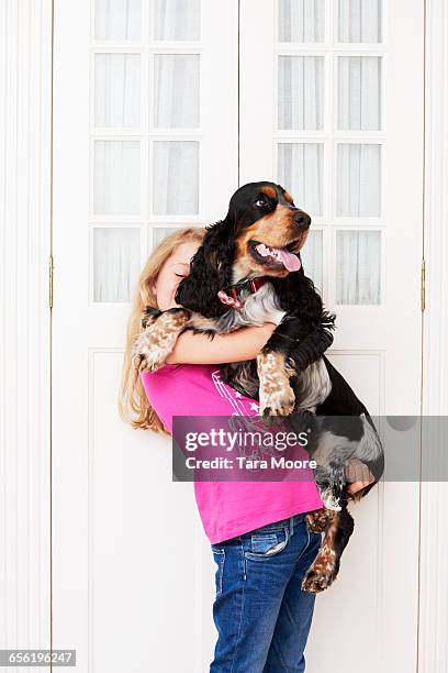 little girl carrying big dog - big dog little dog stock-fotos und bilder