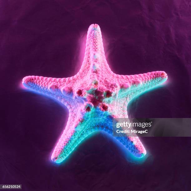 neon colored dry starfish - purple starfish stock pictures, royalty-free photos & images