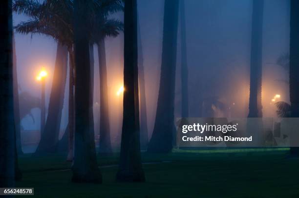 people walking in the evening fog at palisades park in santa monica - palisades park santa monica stock pictures, royalty-free photos & images