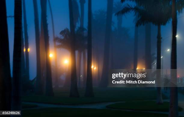 evening fog at palisades park in santa monica - palisades park santa monica stock pictures, royalty-free photos & images
