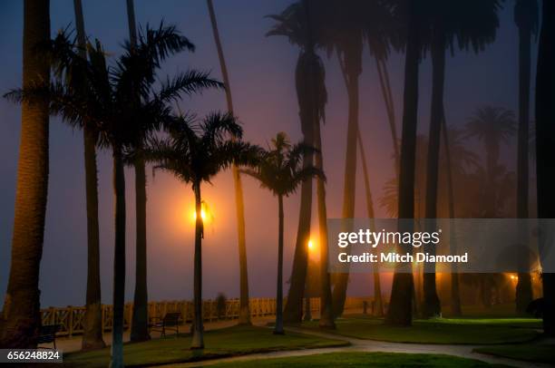 evening fog at palisades park in santa monica - palisades park santa monica stock pictures, royalty-free photos & images