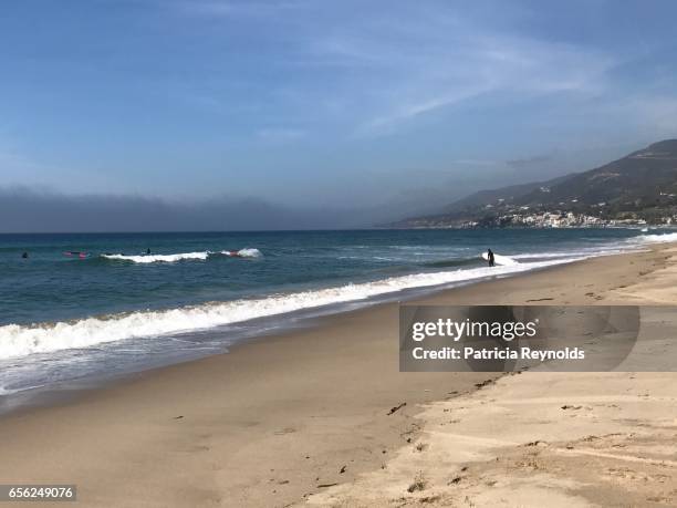 surfer with board enters water with malibu beachhouses in background. - zuma beach foto e immagini stock