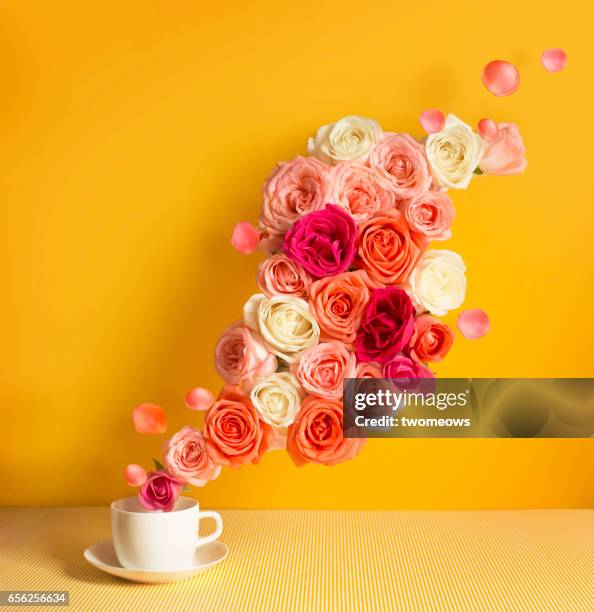 a stream of pastel tone rose flowing out from a tea cup on yellow background. - saucer stock-fotos und bilder