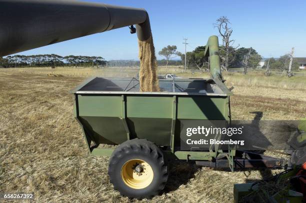 Header Machine Farm Harvest Header Photos and Premium High Res Pictures - Getty Images