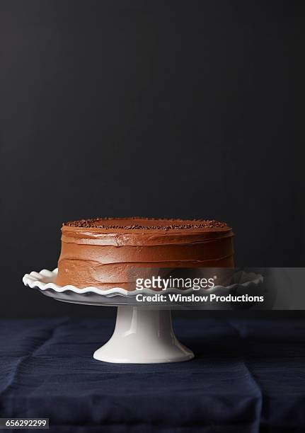 studio shot of chocolate cake - bandeja de bolo - fotografias e filmes do acervo