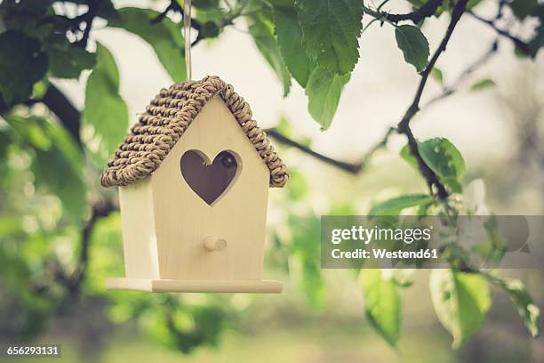 birdhouse hanging on apple tree - vogelhäuschen stock-fotos und bilder