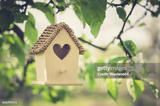 birdhouse hanging on apple tree - 鳥の巣 ストックフォトと画像