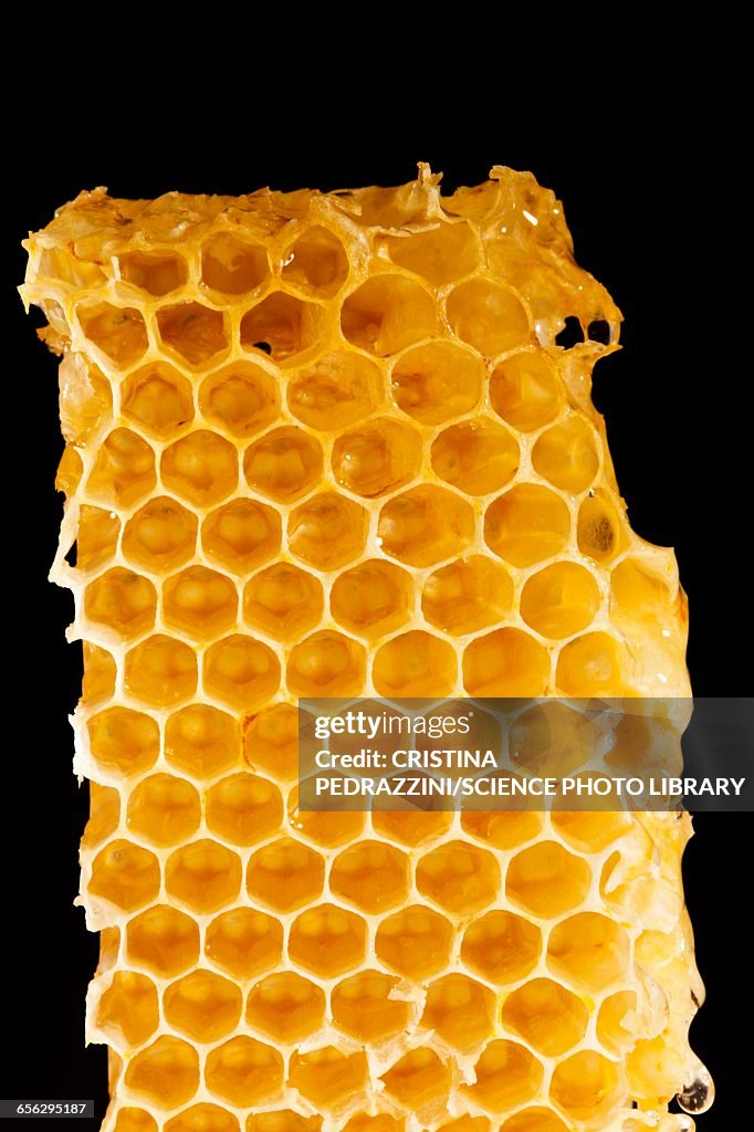 Honeycomb, close up