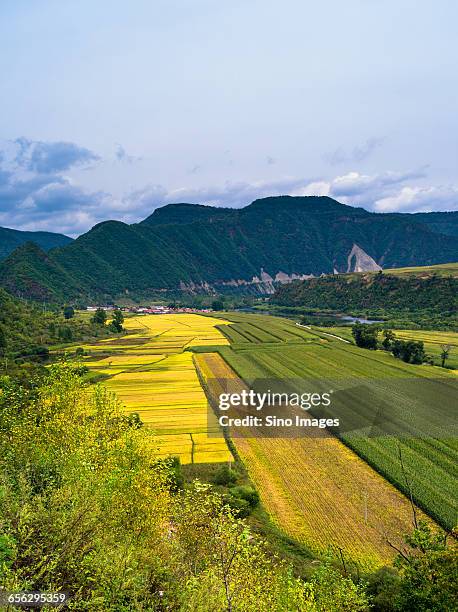 Linjiang 66 Linjiang Stock Photos, High-Res Pictures, and Images - Getty Images