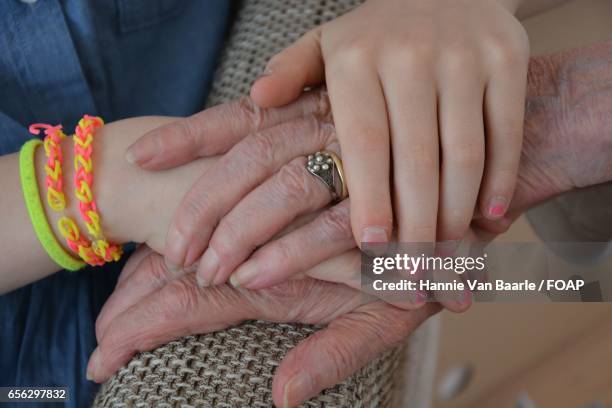 girl holding her grandmothers hand - hannie van baarle stock pictures, royalty-free photos & images