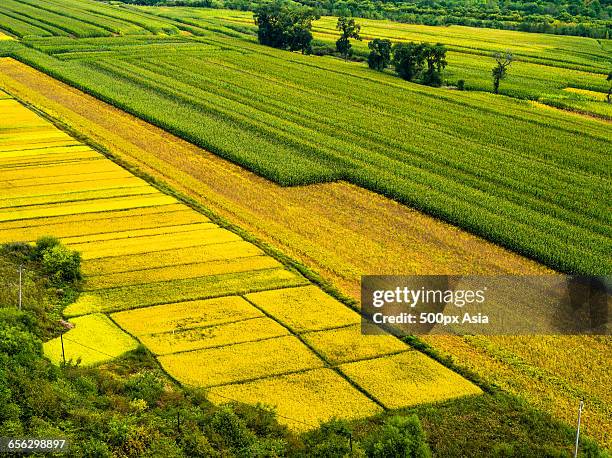 Linjiang Linjiang Photos and Premium High Res Pictures - Getty Images