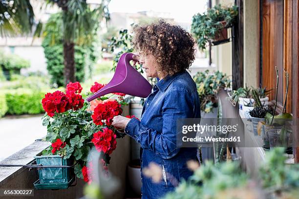 woman watering flowers on balcony - watering can stock pictures, royalty-free photos & images