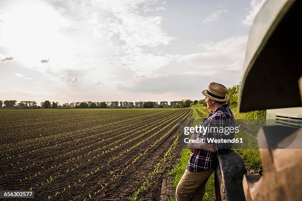 farmer standing at a field - campo arado fotografías e imágenes de stock