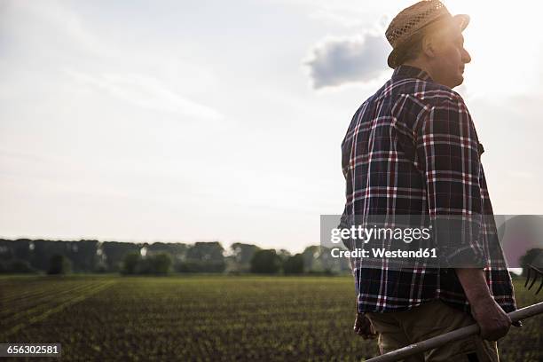 Farmer Man Rake 1 805 Person Holding Rake Stock Photos, High-Res Pictures, and Images ...