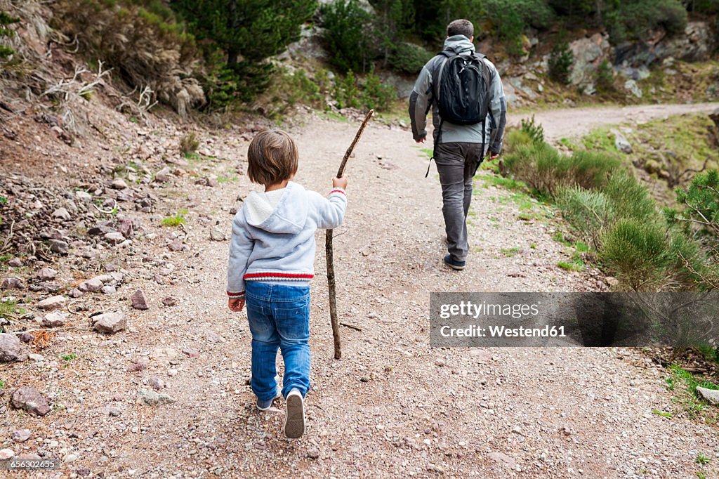 Father and son hiking on rural path