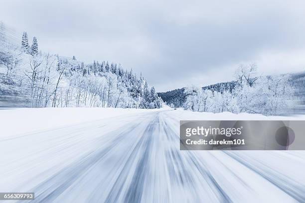 snow covered forest highway, steamboat springs, colorado, america, usa - snow covered road stockfoto's en -beelden