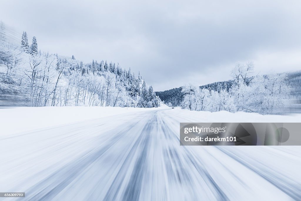 Snow covered forest highway, Steamboat Springs, Colorado, america, USA
