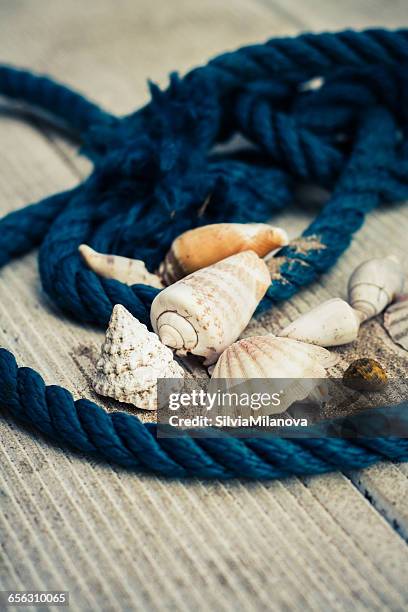 Shells On Rope Rope Shells Photos and Premium High Res Pictures - Getty Images