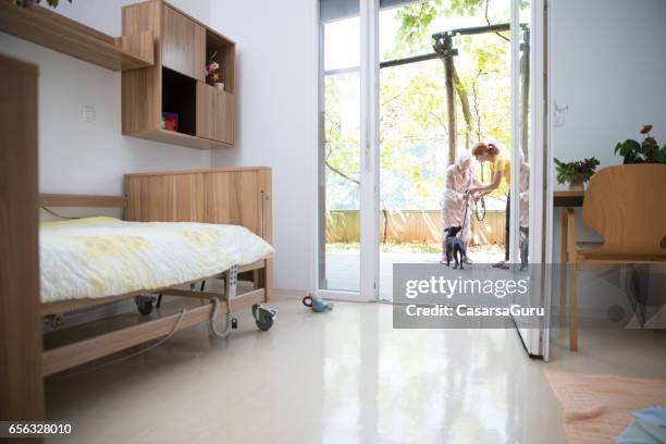 occupational therapy - senior woman in retirement community take care off the dog - care home bed stock pictures, royalty-free photos & images
