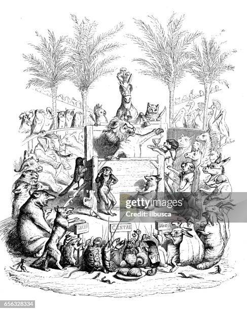 humanized animals illustrations: lion speaking - hare stock illustrations