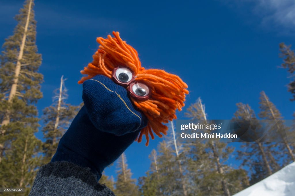 Blue Sock Puppet with Orange Hair in Mountains with Snow