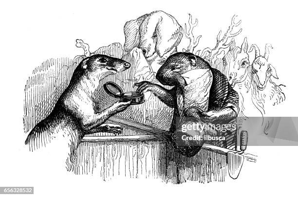 humanized animals illustrations - mole animal stock illustrations