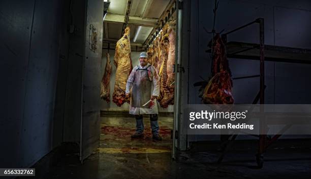 slaughter house butcher - abattoir stock pictures, royalty-free photos & images