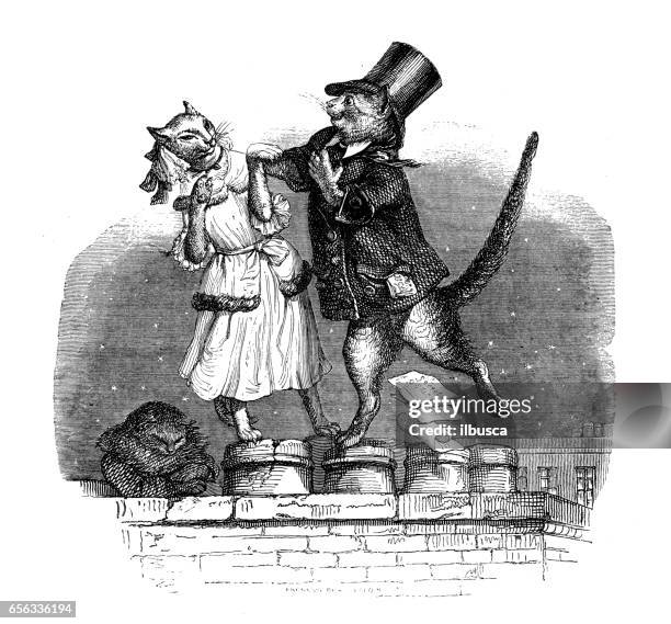 humanized animals illustrations: cats dancing on roof - black and white cat love stock illustrations