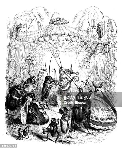 Insect Concert 66 Ant Cartoon Character Stock Photos, High-Res Pictures, and Images ...