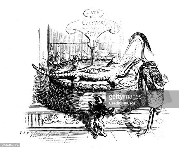 humanized animals illustrations: dead cayman - caiman stock illustrations