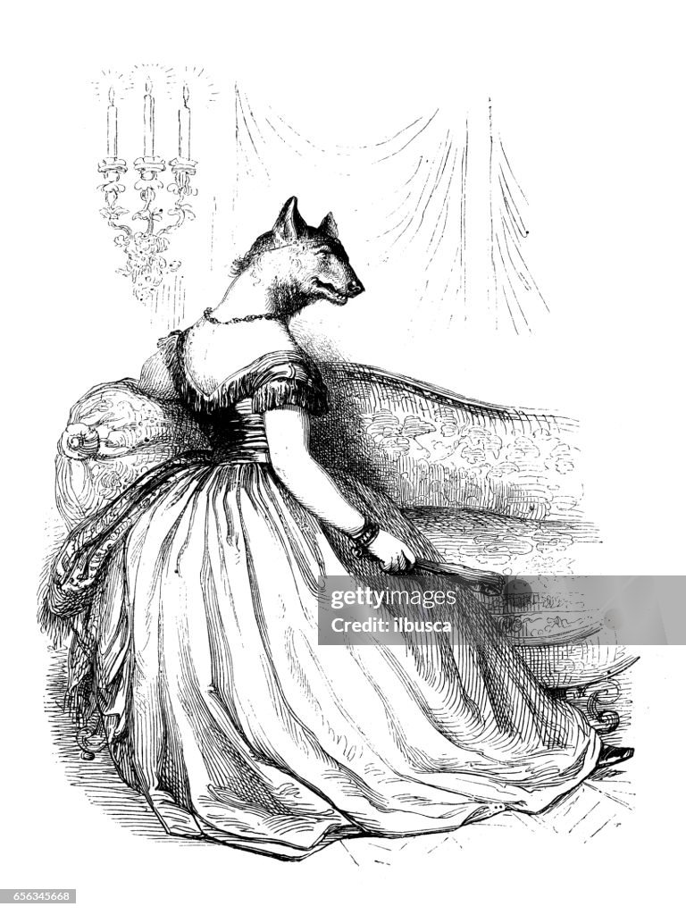 Humanized Fox Humanized Animals Illustrations Fox High-Res Vector Graphic - Getty Images