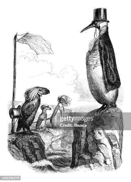 humanized animals illustrations: penguins - penguin drawing stock illustrations