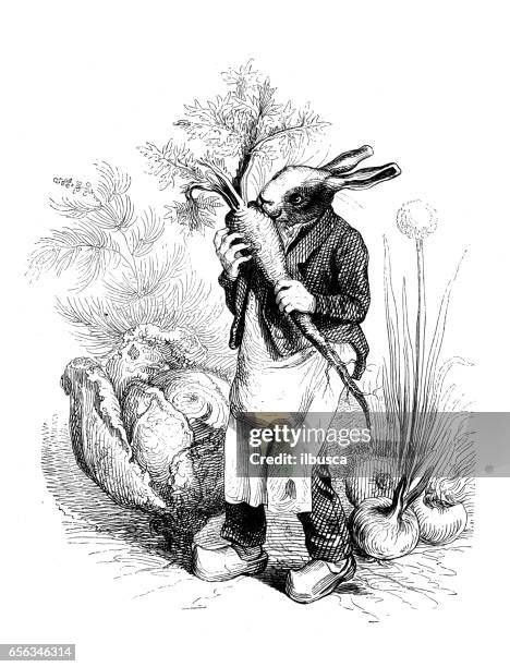 humanized animals illustrations: rabbit with vegetables - creepy bunny cartoon stock illustrations
