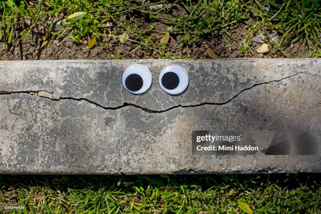 Googly Eyes on Cracked Sidewalk Making a Smiley Face