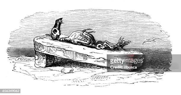 ilustrações, clipart, desenhos animados e ícones de humanizado ilustrações de animais: o esqueleto morto pinguim - animal skeleton
