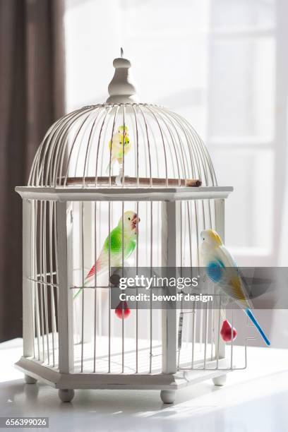 white bird cage with 3 birds of plastic - plastikmaterial stock pictures, royalty-free photos & images