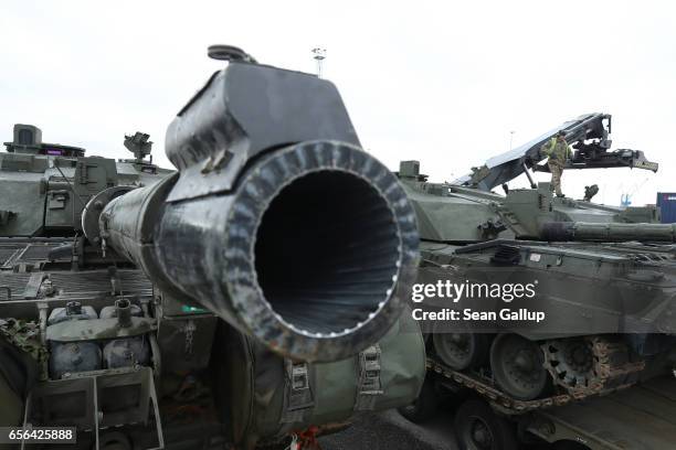 British Army Challenger 2 tanks of the 5th Battalion The Rifles stand on truck trailers for transport after the tanks arrived by ship on March 22,...