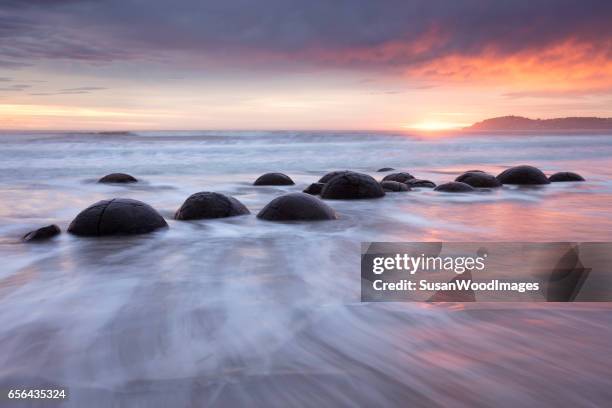 moeraki boulders, new zealand - moeraki stock pictures, royalty-free photos & images