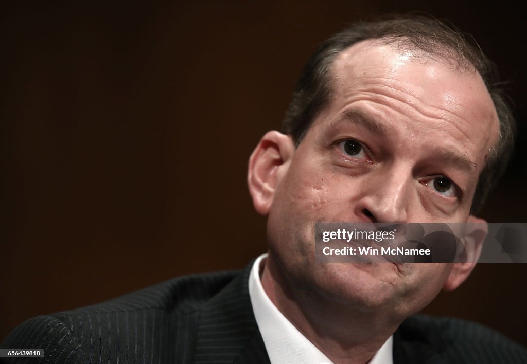 Senate Holds Confirmation Hearing For Alex Acosta For Secretary Of Labor